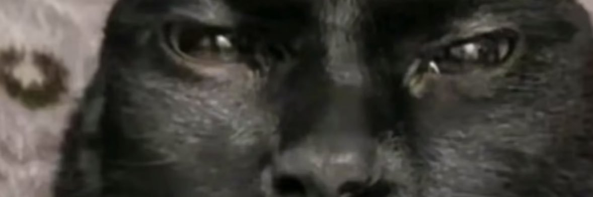 Konopppp's profile banner image