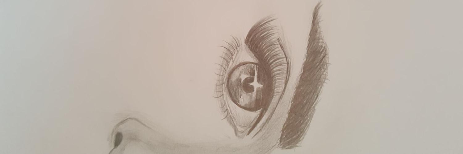 kayadidem1's profile banner image
