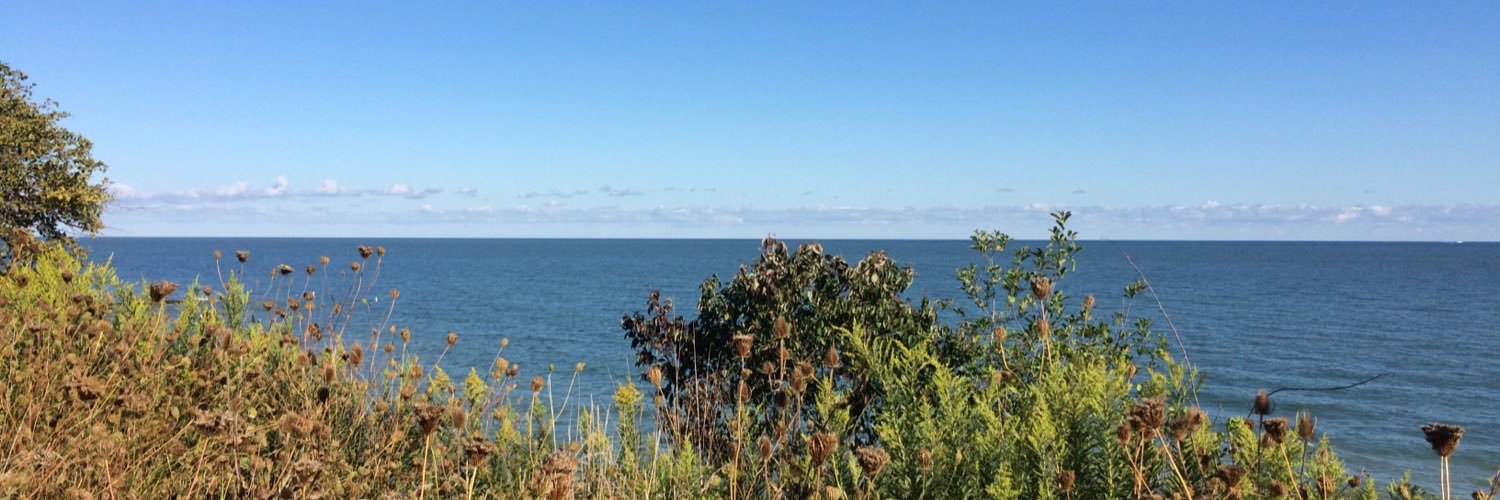 bjanetski's profile banner image