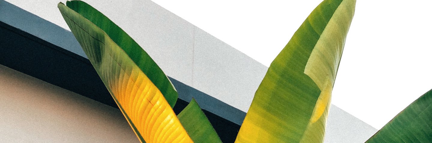 peds_a's profile banner image