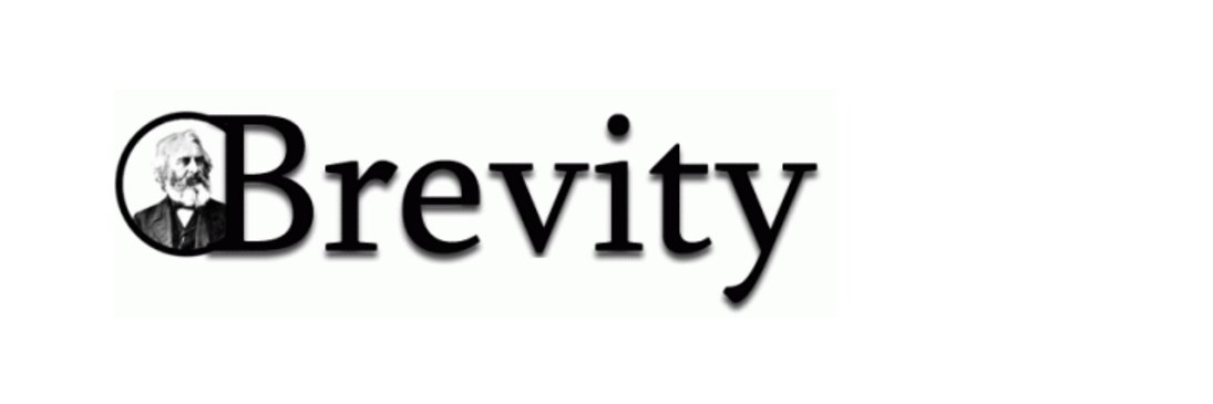 brevitymag's profile banner image