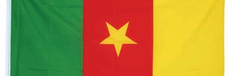 P I L E & F A C E🇨🇲🇸🇳 banner