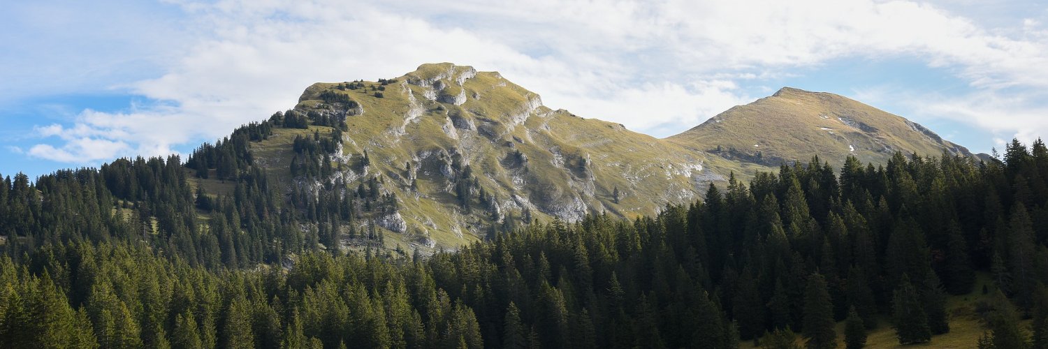 buvem's profile banner image