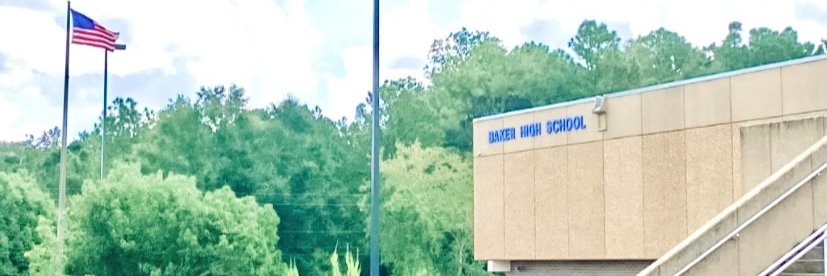 Baker High School Hornets (Mobile, AL) banner