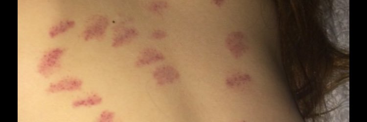 Franxuu 🤷🏽‍♂️ banner