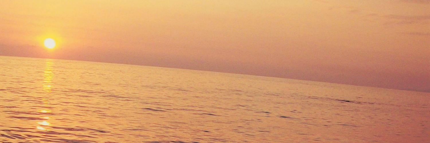 mitrofanova_96's profile banner image