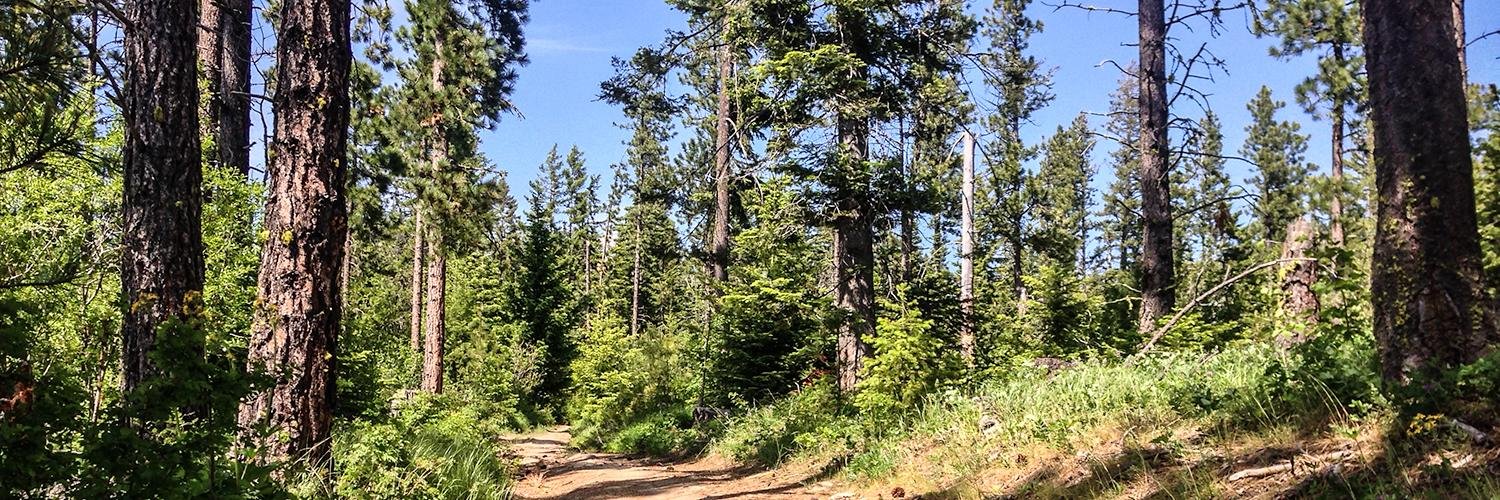 Geoffrey Grosenbach banner