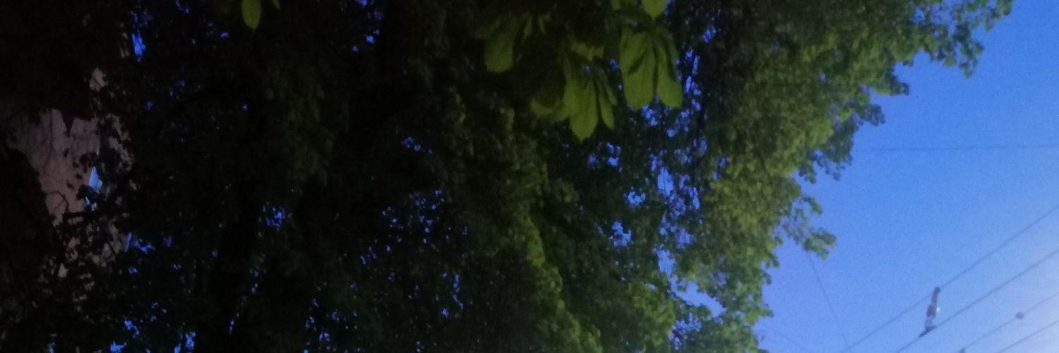 sheissotired's profile banner image