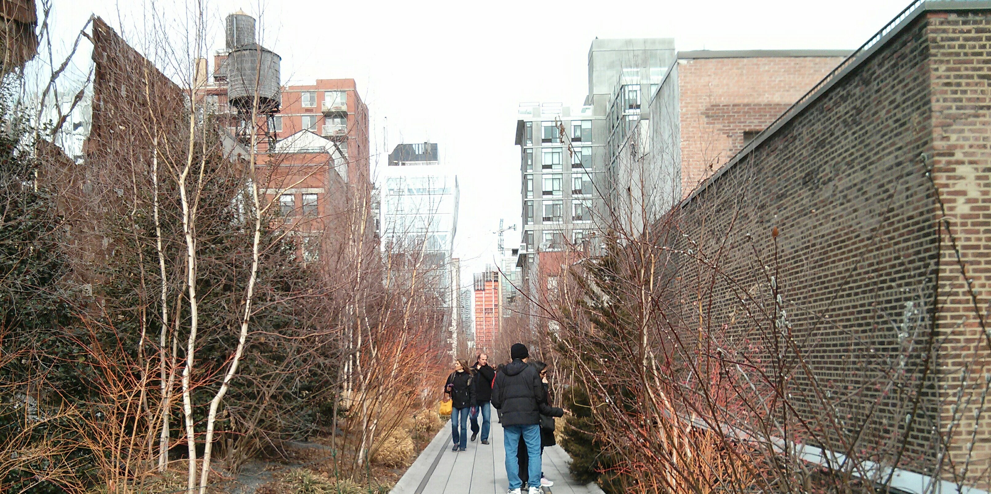 Raphael Waller banner