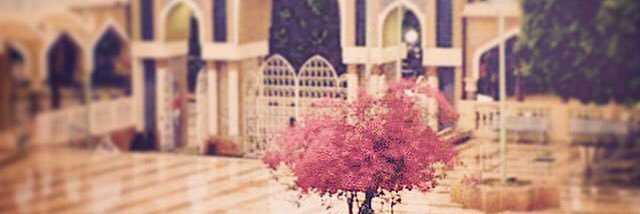 darkmalik939's profile banner image