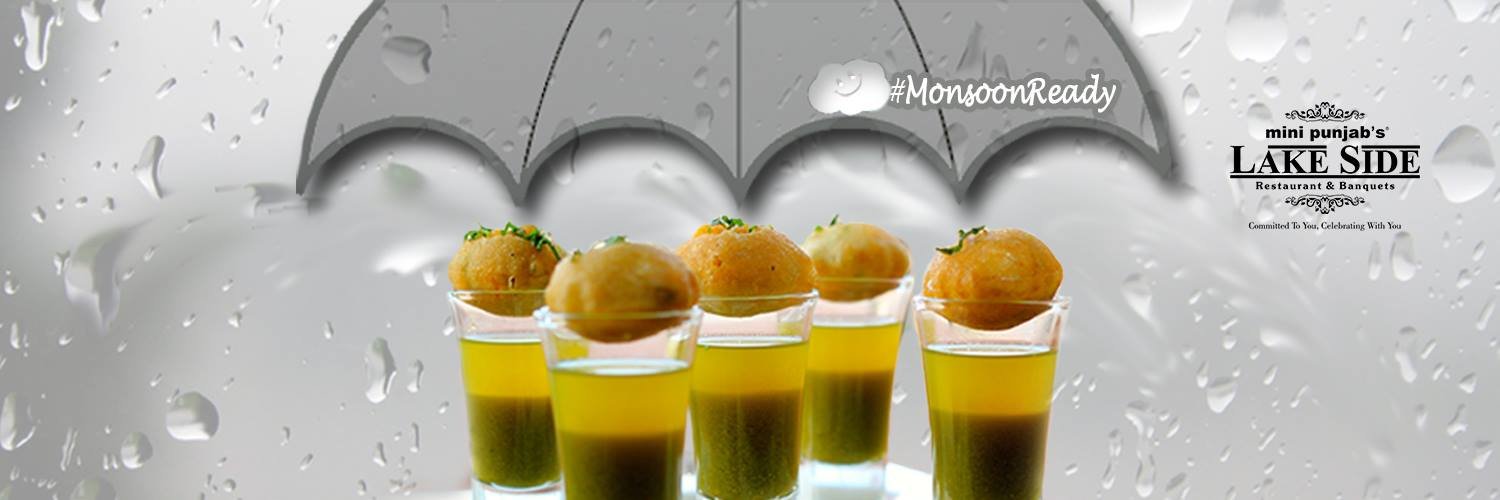 TheMiniPunjab's profile banner image