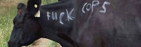 good4biting's profile banner image