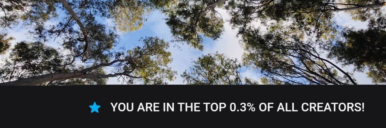 WindWhole | BACKUP banner