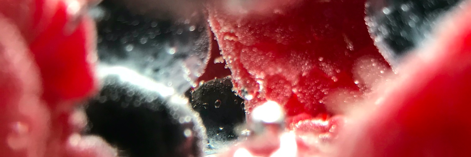 SpectralDragon_'s profile banner image