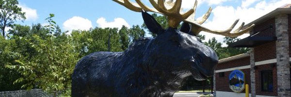 royalmoosecoffe Profile Banner