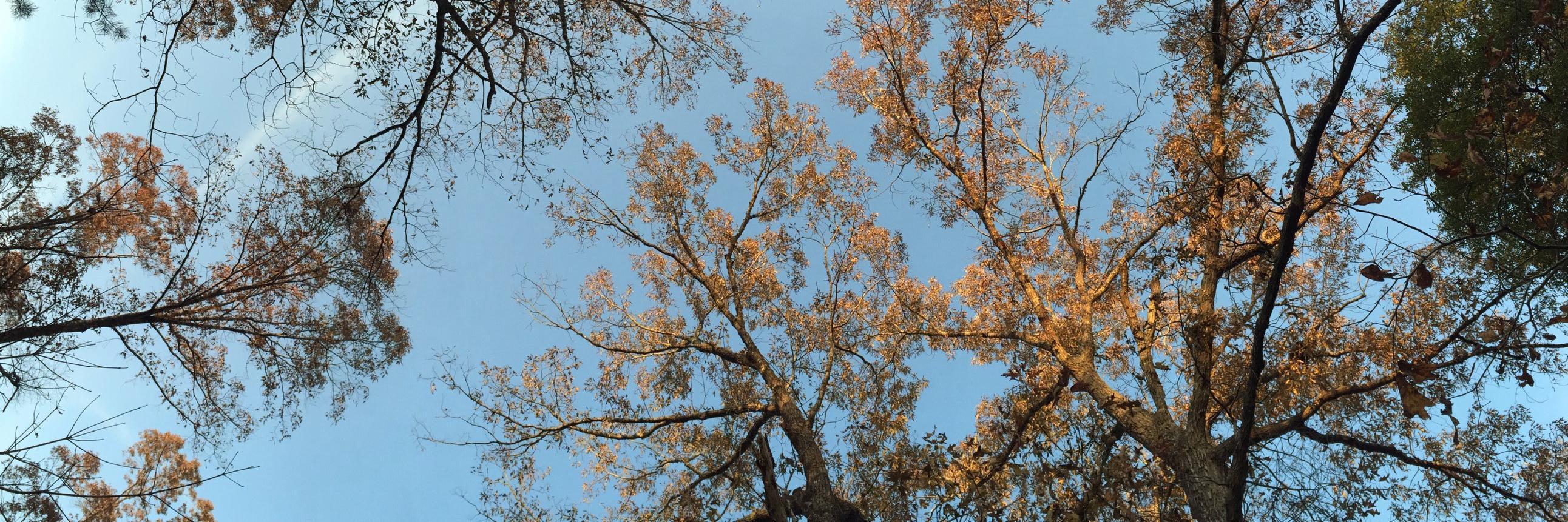 jayshepherd's profile banner image