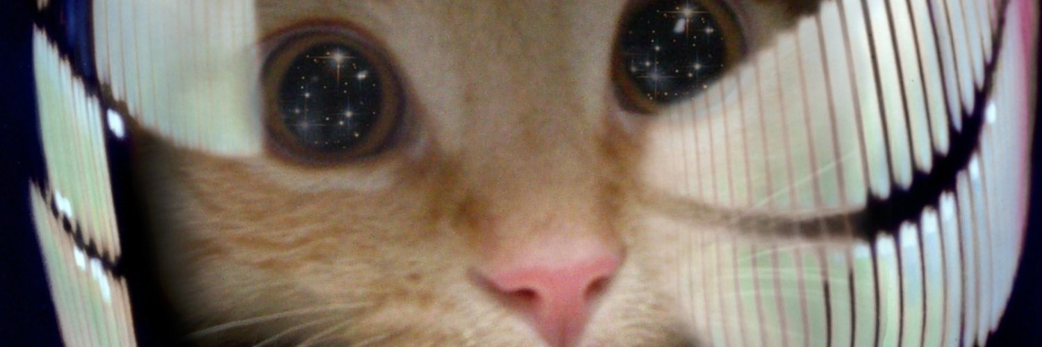 BruceMceh's profile banner image