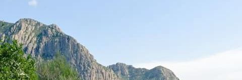 ReginaBallarin's profile banner image