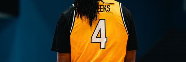 TylikWeeks Profile Banner