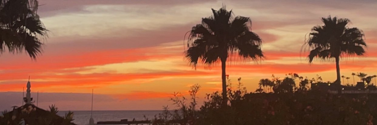 eva_dhy's profile banner image