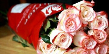GiselleMirabal's profile banner image