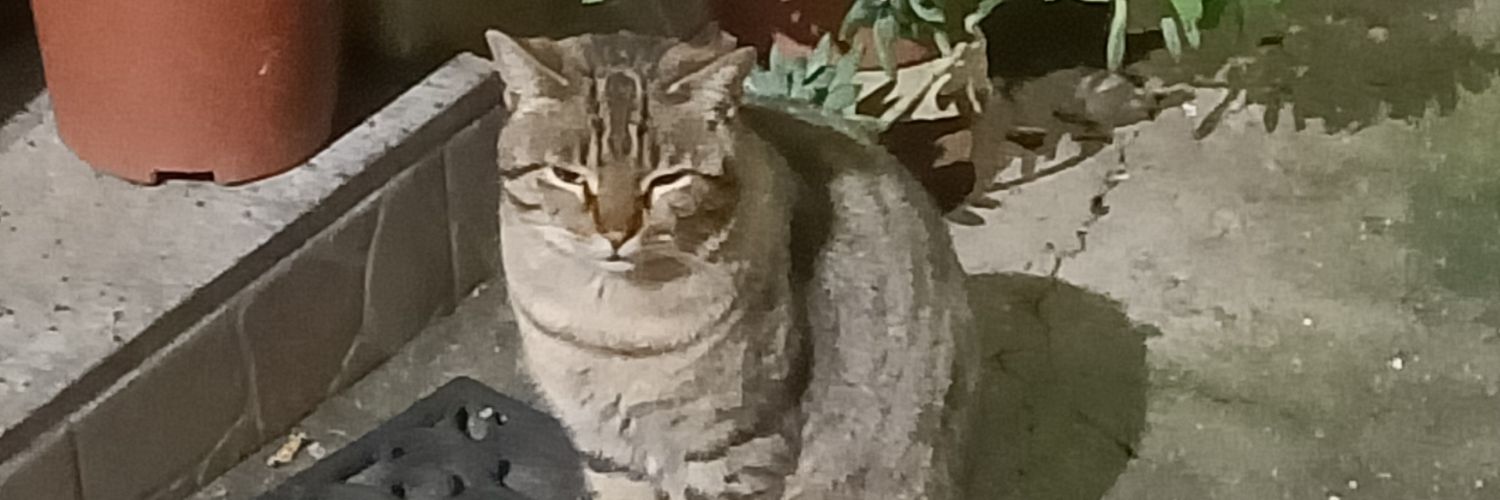 GbIelapi's profile banner image