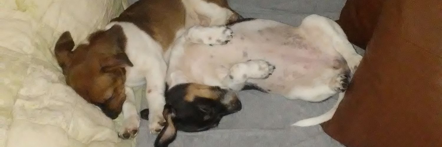 kristmitch33's profile banner image
