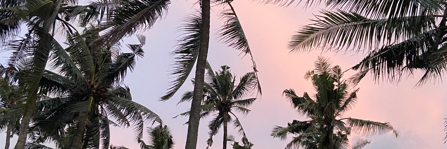 fuldenS's profile banner image