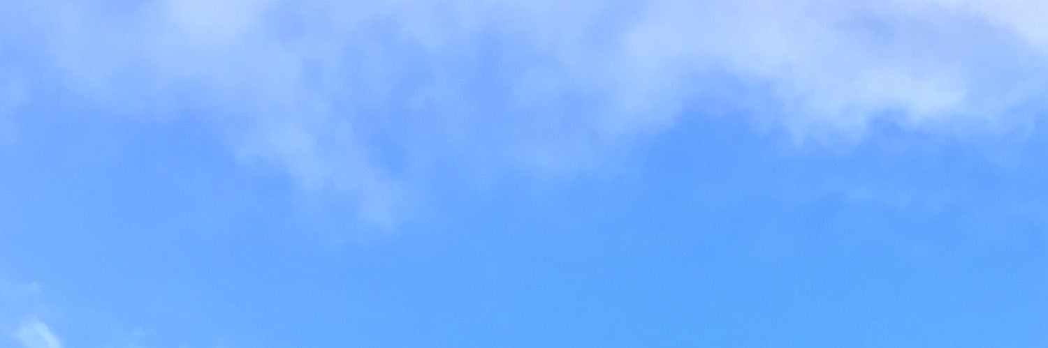 sdospuni's profile banner image