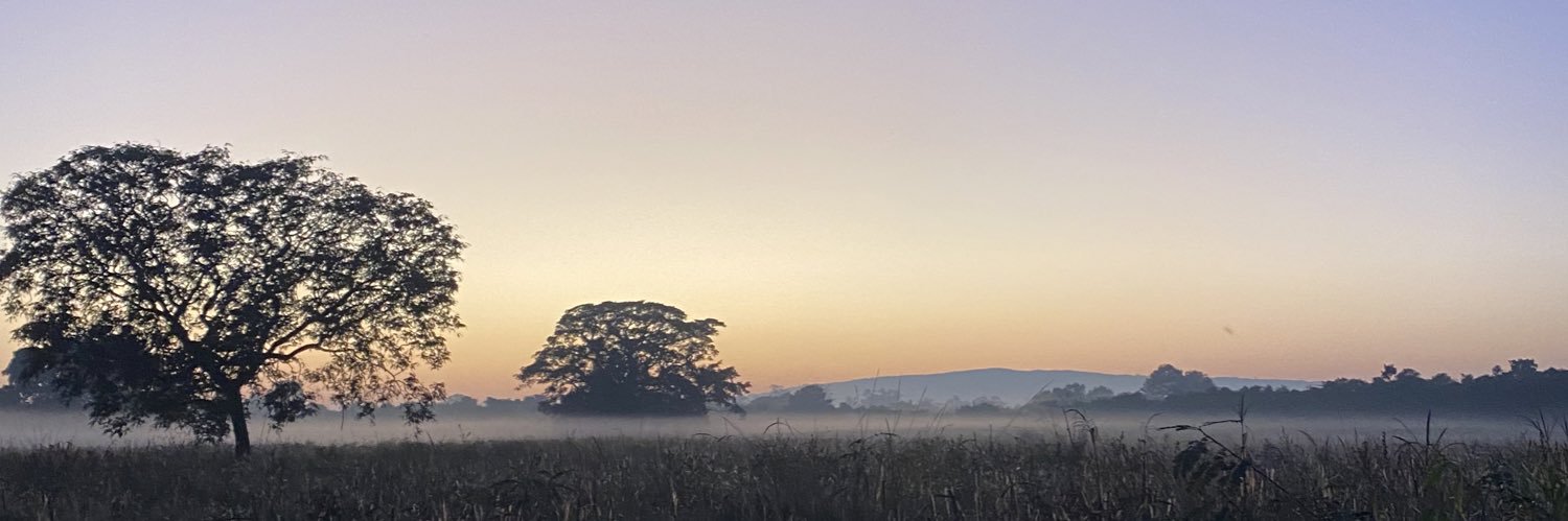 lithingsz's profile banner image