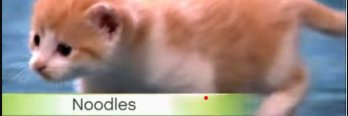 Wakongee's profile banner image