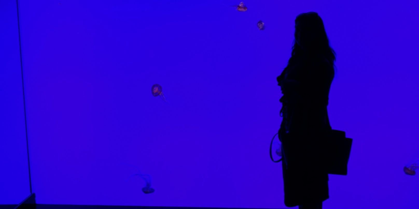 hinsterz's profile banner image