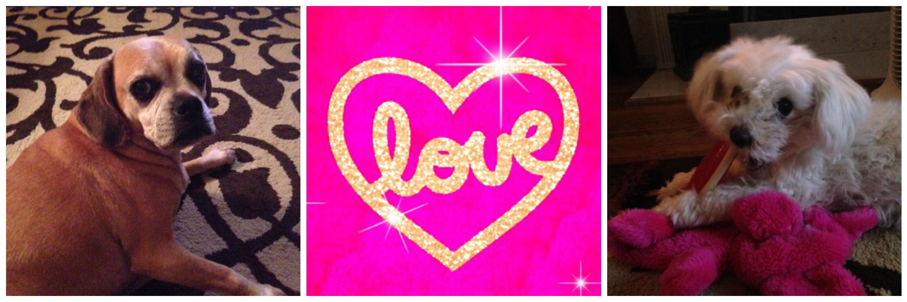 LifebyNadine's profile banner image