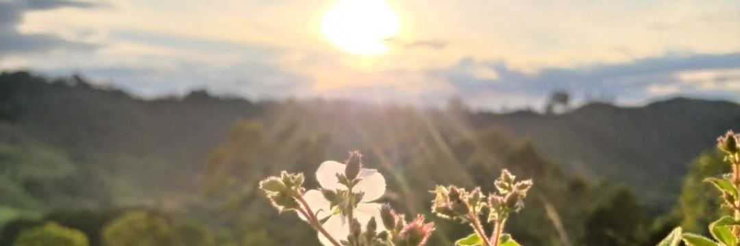 danilopez082's profile banner image