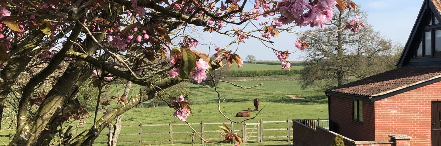 OldHallFarm's profile banner image