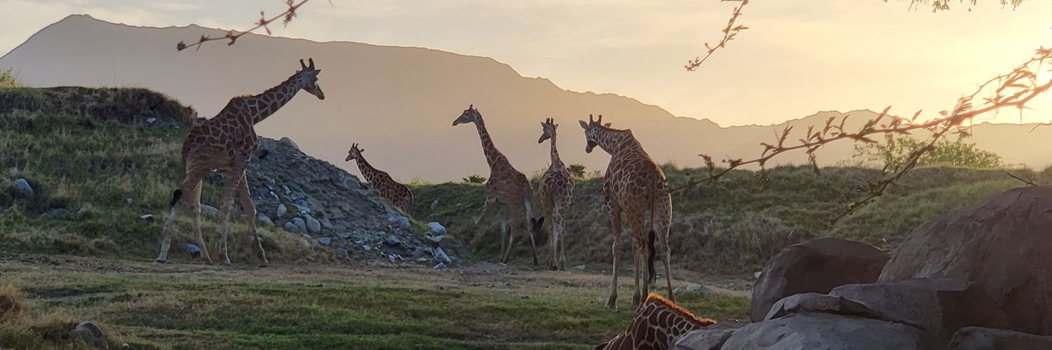 The Contrarian Antifarian banner