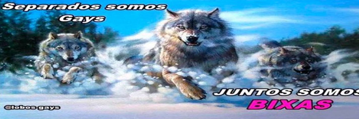 saudade_sou's profile banner image