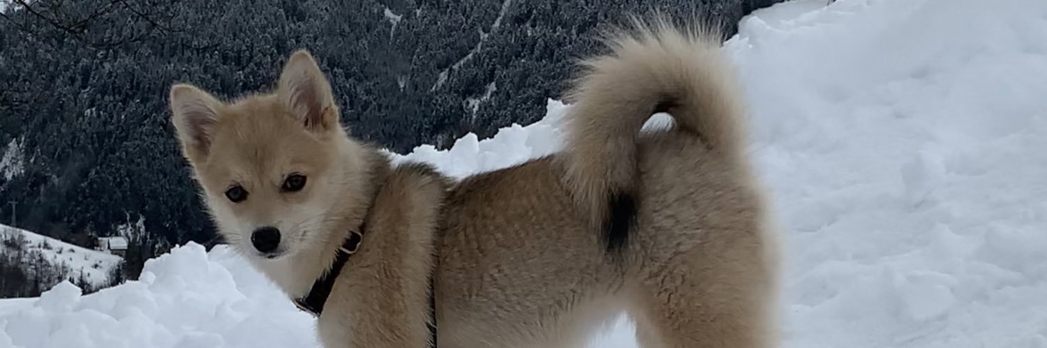Maxime Mortera banner