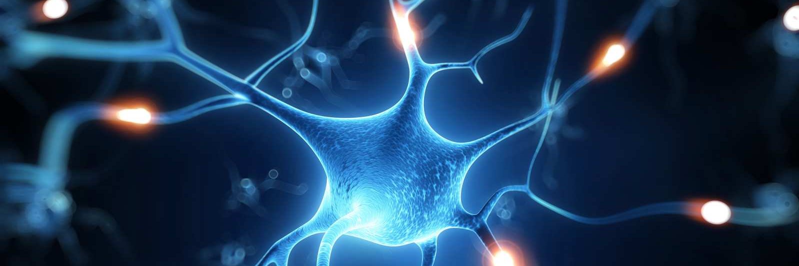 USYD Psychology banner