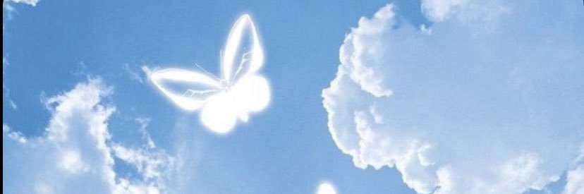 mellevendoski's profile banner image