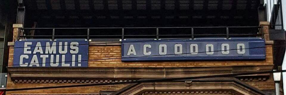 ZackHoijer1's profile banner image