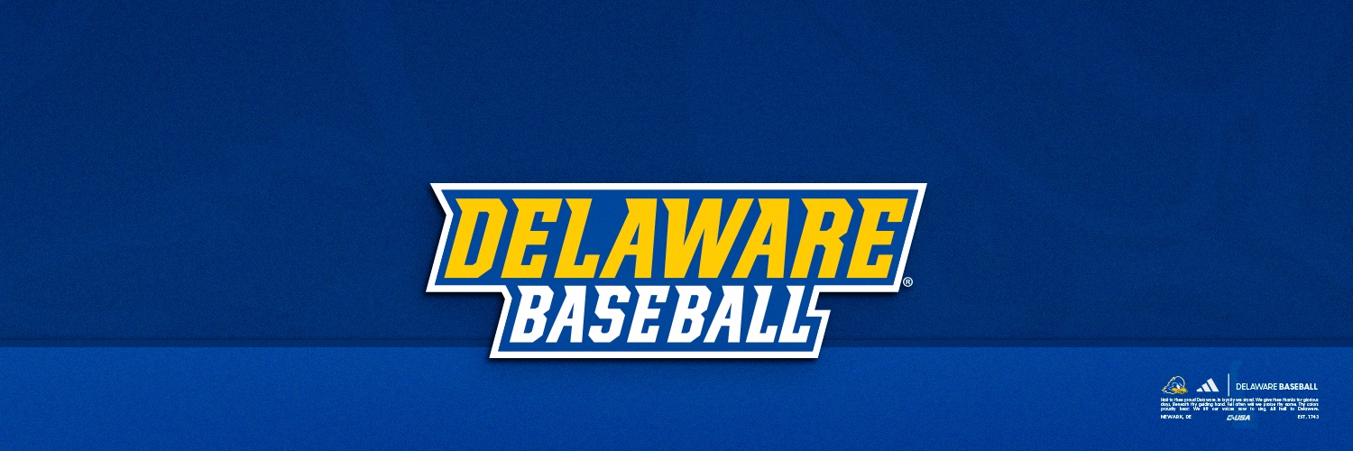 Delaware Baseball banner