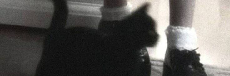 LECNIDAS's profile banner image