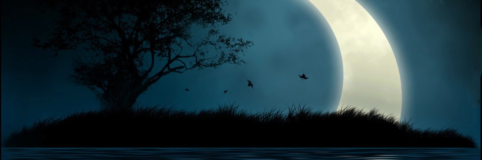 ISAJUANA's profile banner image
