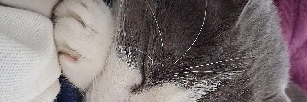 SouRyann_'s profile banner image