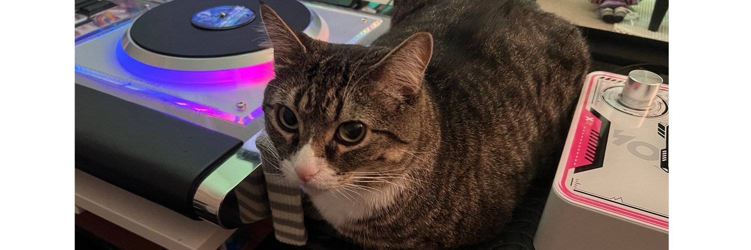Catzzye's profile banner image