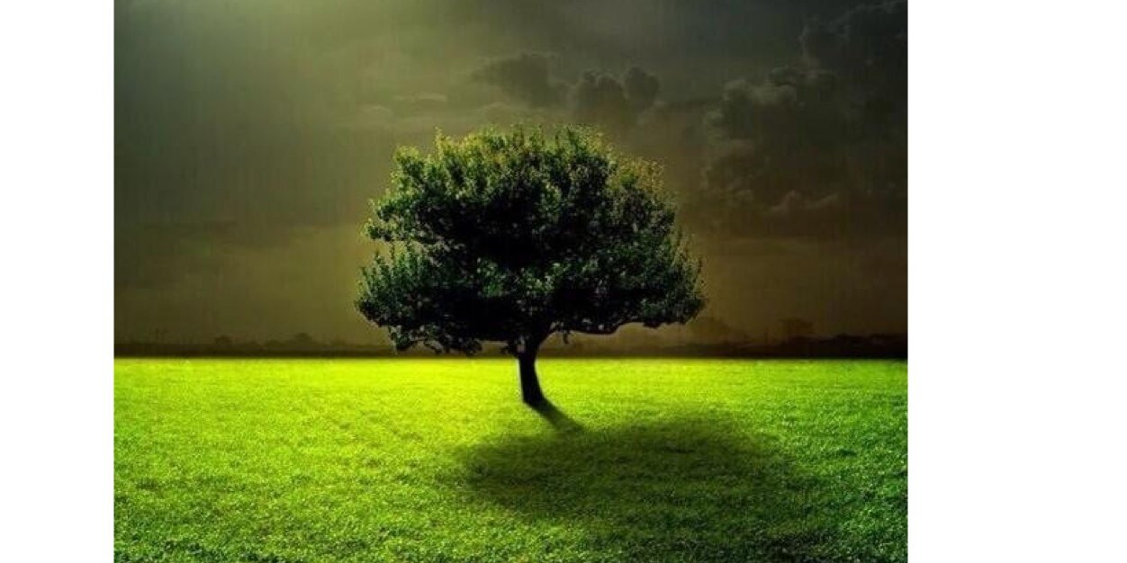 محمدالمطيري banner