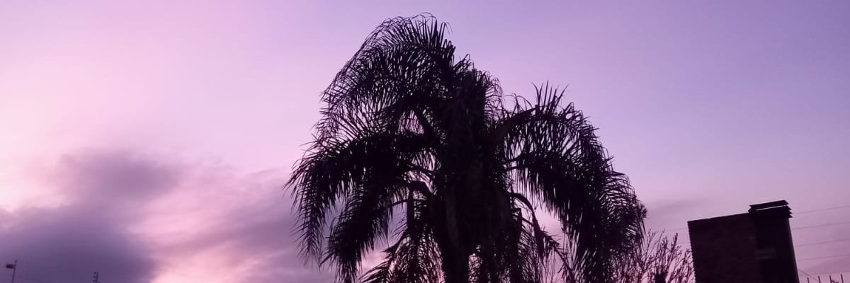 helemazza61's profile banner image