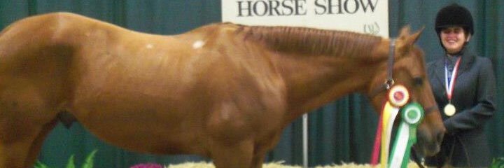 MaryMarybeth93's profile banner image