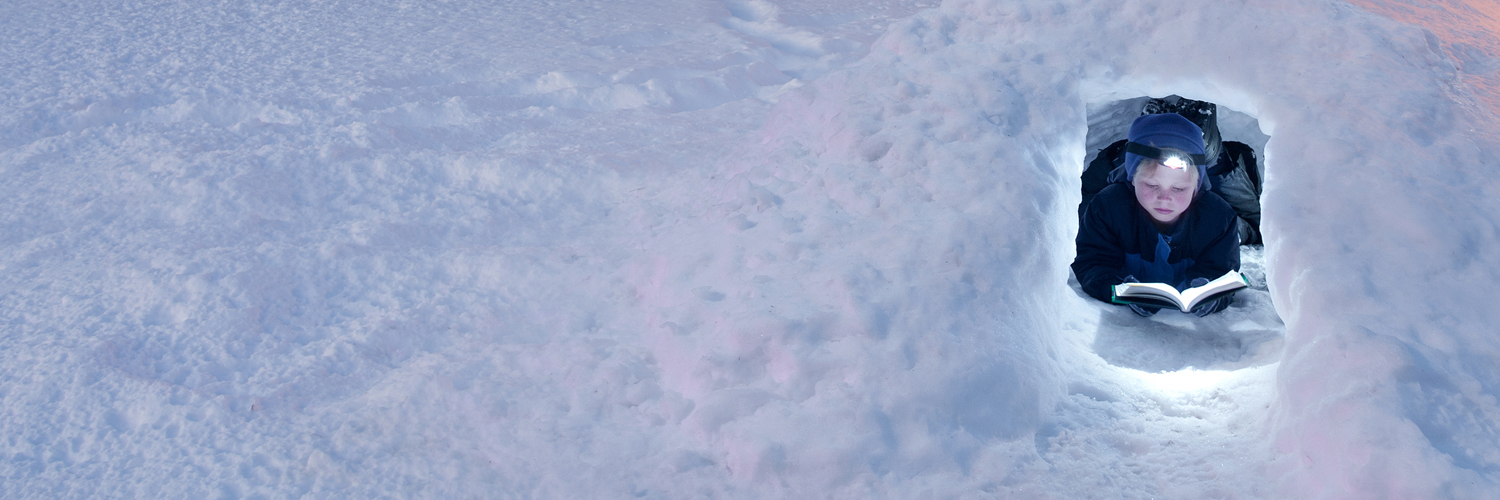 United Library Services banner